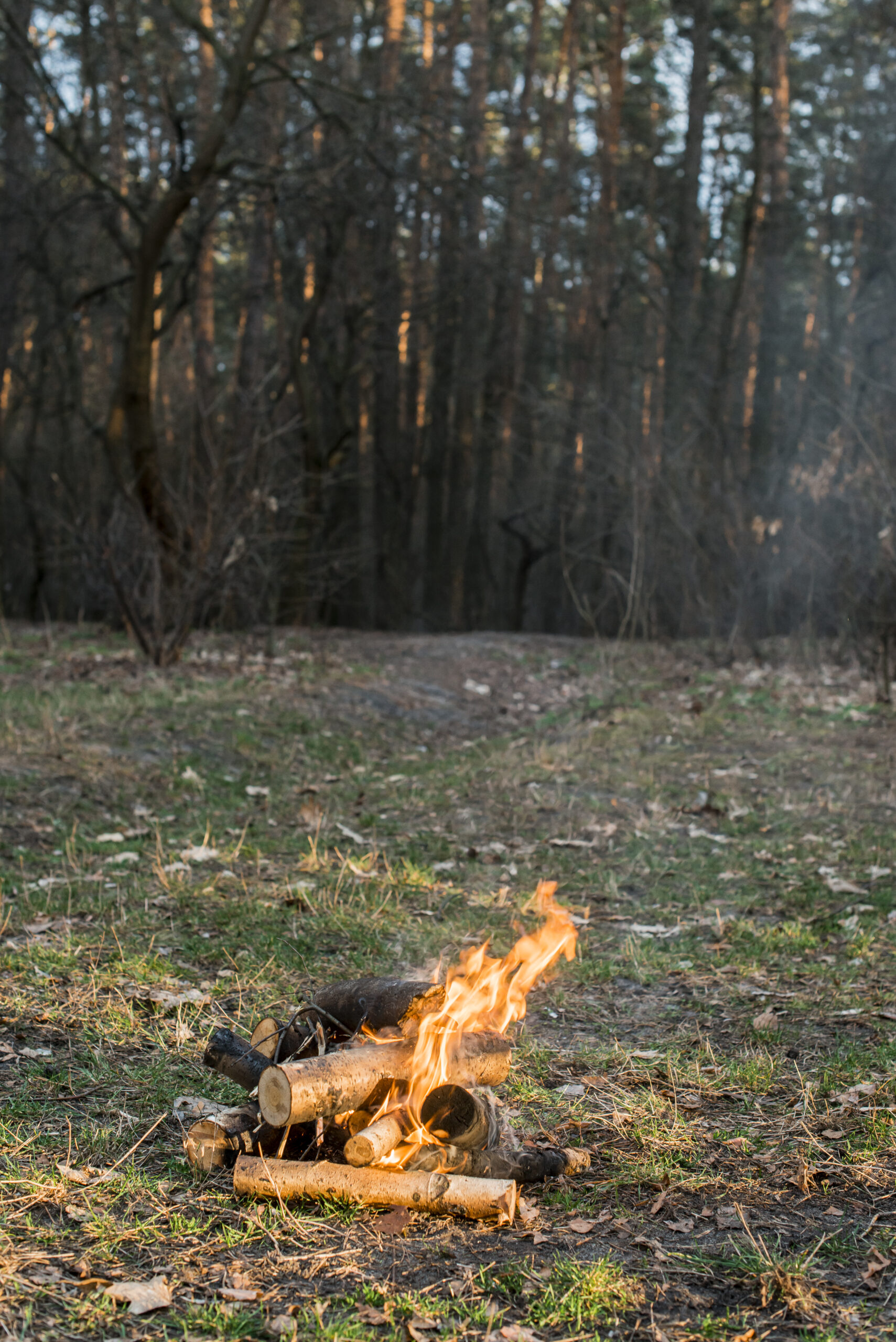 high-angle-bonfire-nature