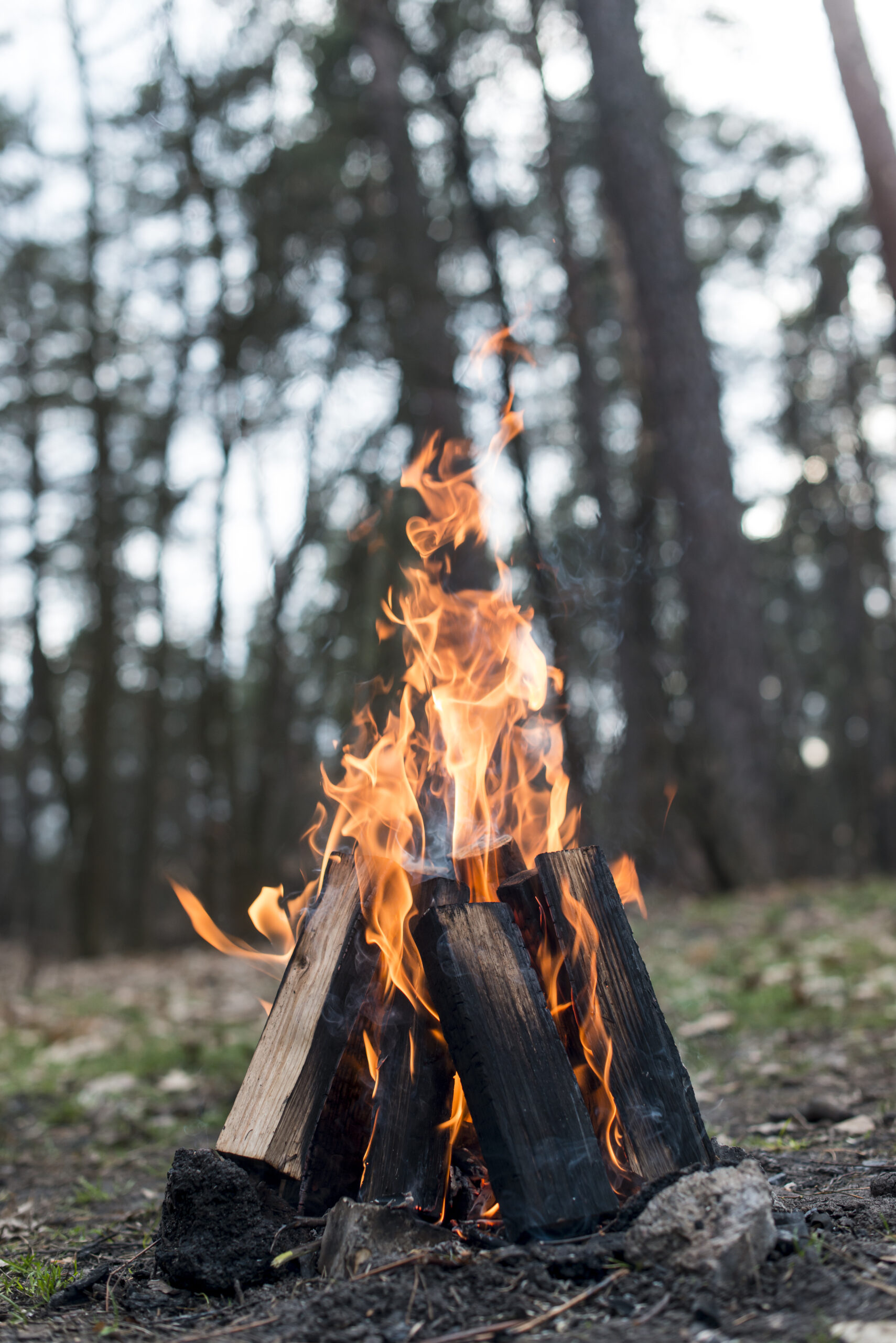 low-angle-bonfire-with-flames